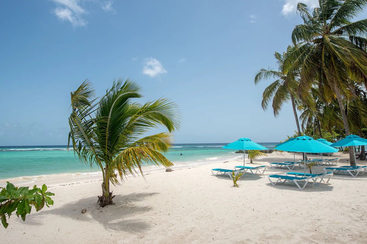 The Sands Barbados